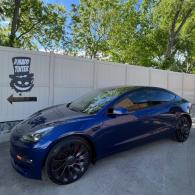 XPEL Fusion PPF Install 