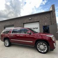 XPEL Window Tint