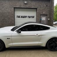 Mustang XPEL XR Tint 